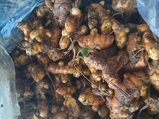 정상훈님의 자유주제 · 자유게시판 작성글 사진