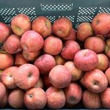 팜모닝 · 게시글 이미지