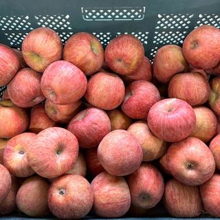 프룻하늬님의 작성글 사진