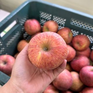 프룻하늬님의 작성글 사진