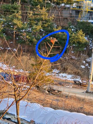 소병찬님의 자유주제 · 자유게시판 작성글 사진