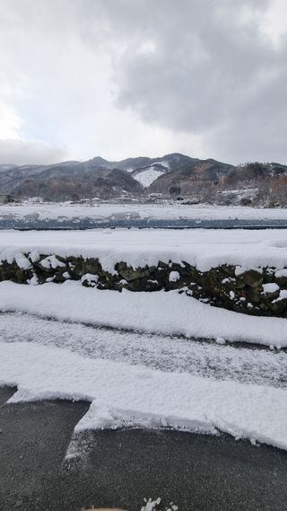 이정식님의 농작업 할 때 나의 선택은? · 참여글 작성글 사진