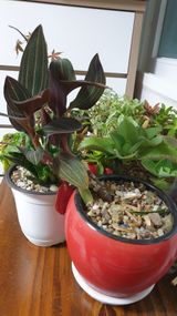 팜모닝 · 게시글 이미지