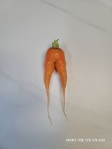 팜모닝 자유주제·자유게시판 게시글 이미지