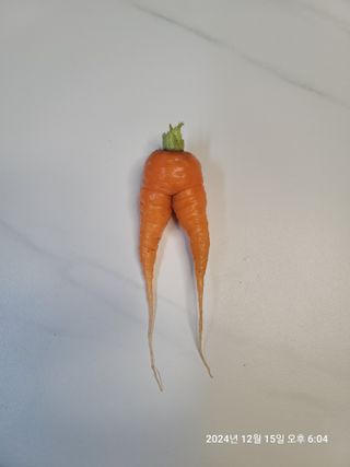 미날기미(김원영)님의 자유주제 · 자유게시판 작성글 사진