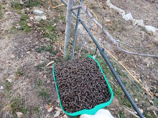 알 수 없음님의 자유주제 · 자유게시판 작성글 사진