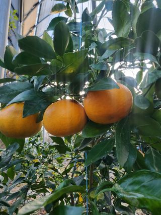 서정훈 님의 자유주제 · 자유게시판 작성글 사진