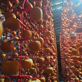 백용기님의 자유주제 · 자유게시판 작성글 사진