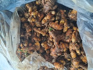 정상훈님의 자유주제 · 자유게시판 작성글 사진