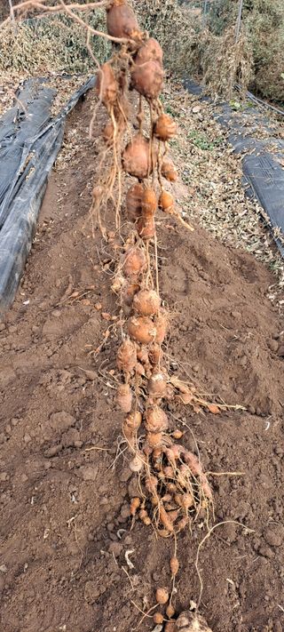 장준재님의 자유주제 · 자유게시판 작성글 사진