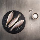 팜모닝 자유주제·자유게시판 게시글 이미지