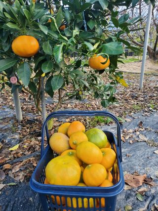 서정훈 님의 자유주제 · 자유게시판 작성글 사진