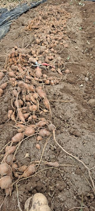 장준재님의 자유주제 · 자유게시판 작성글 사진