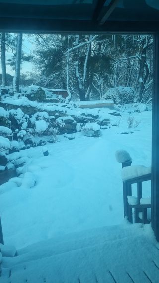 이정식님의 농작업 할 때 나의 선택은? · 참여글 작성글 사진