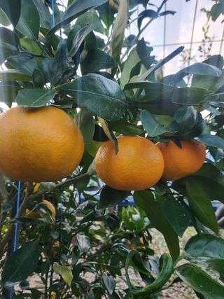 서정훈 님의 자유주제 · 자유게시판 작성글 사진