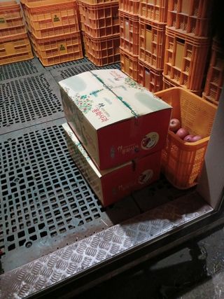 알 수 없음님의 자유주제 · 자유게시판 작성글 사진