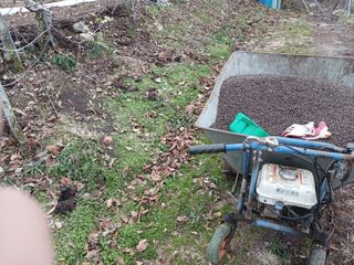 알 수 없음님의 자유주제 · 자유게시판 작성글 사진