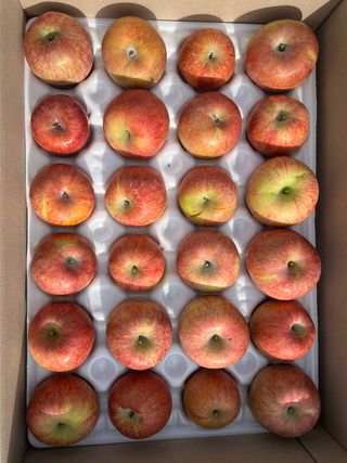 프룻하늬님의 작성글 사진