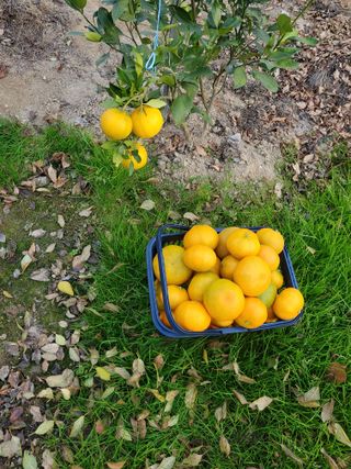서정훈 님의 자유주제 · 자유게시판 작성글 사진