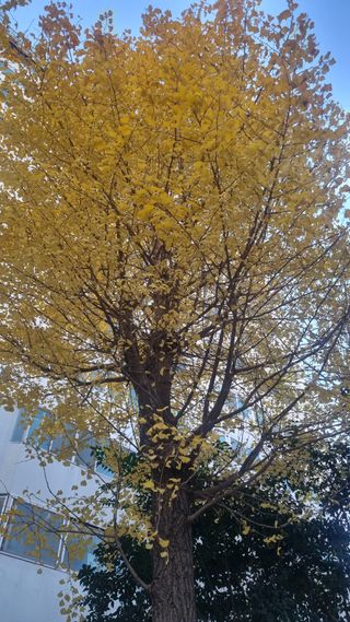 이정식님의 농작업 할 때 나의 선택은? · 참여글 작성글 사진