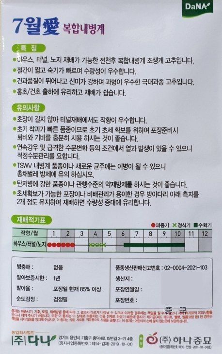 대산농사대장님의 장터 판매 상품 [7월애 1200립 고추 종자 고추 씨앗 극대과 조생종 매운맛 조기수확] 첨부 사진