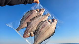 농수사님의 작성글 사진