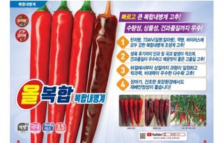 대산농사대장님의 작성글 사진