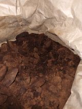 팜모닝 자유주제·자유게시판 게시글 이미지