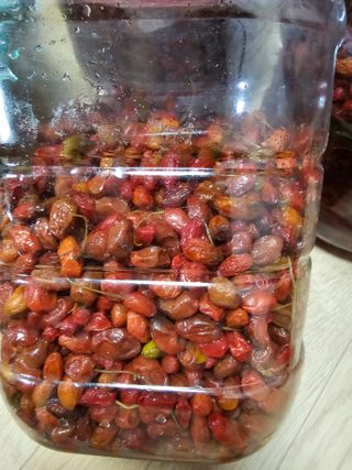 왕개미님의 자유주제 · 자유게시판 작성글 사진