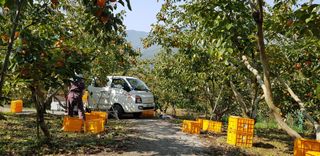 하동삼삼오오님의 작성글 사진