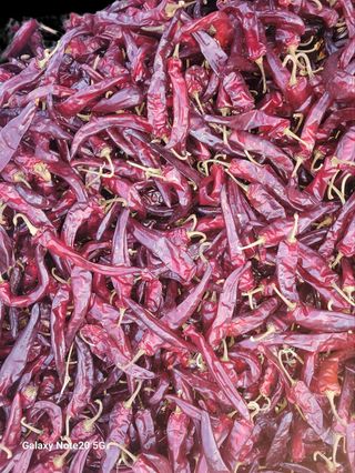 오정근님의 작성글 사진