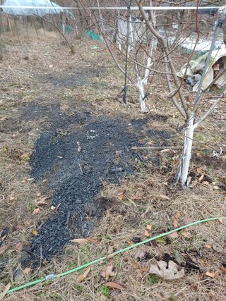 박상현님의 자유주제 · 자유게시판 작성글 사진