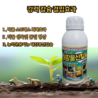 대산농사대장님의 고추 · 일상 작성글 사진