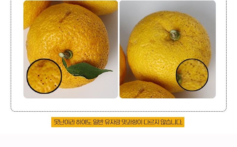 초록미소 금호농장님의 장터 판매 상품 [[품절] 2024년 햇 고흥유자 생과유자 생유자 판매합니다.] 첨부 사진