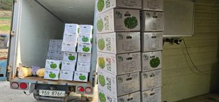 권희석 섬초님의 작성글 사진