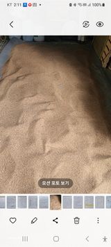 팜모닝 자유주제·자유게시판 게시글 이미지