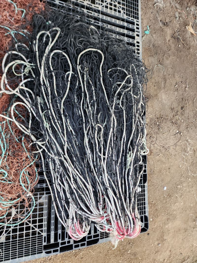 김기석님의 장터 판매 상품 [해태망 고라니망 노루망 멧돼지망 김양식망] 첨부 사진