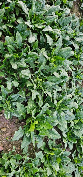 권희석 섬초님의 작성글 사진