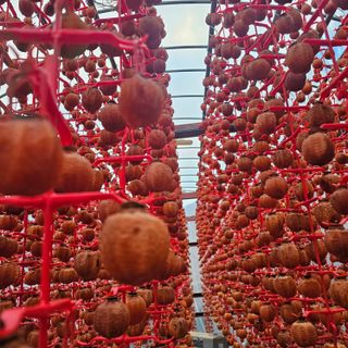 백용기님의 자유주제 · 자유게시판 작성글 사진