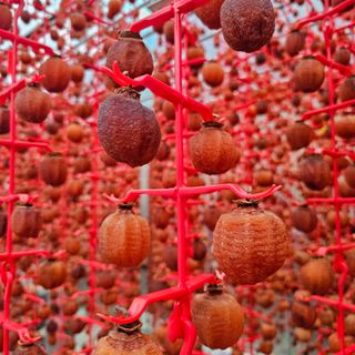 백용기님의 자유주제 · 자유게시판 작성글 사진