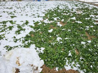 권희석 섬초님의 작성글 사진