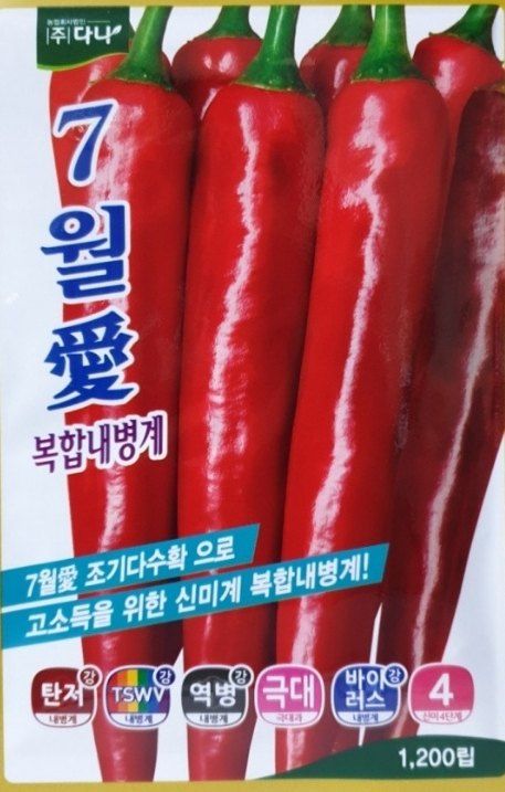 대산농사대장님의 장터 판매 상품 [7월애 1200립 고추 종자 고추 씨앗 극대과 조생종 매운맛 조기수확] 첨부 사진