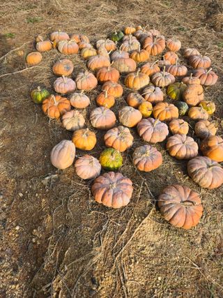 자연인님의 자유주제 · 자유게시판 작성글 사진