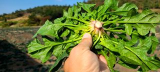 권희석 섬초님의 작성글 사진