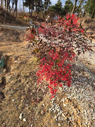 자연인님의 자유주제 · 자유게시판 작성글 사진