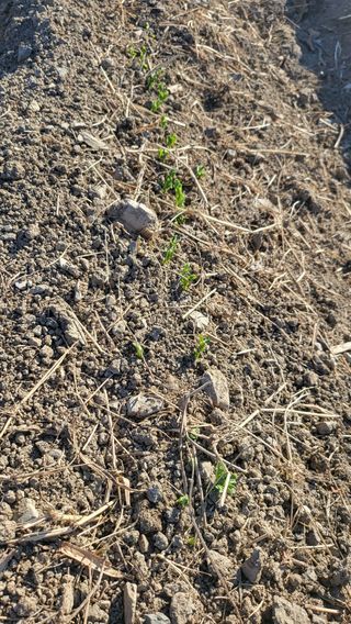 방촌대장님의 자유주제 · 자유게시판 작성글 사진