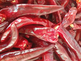 재순님의 작성글 사진