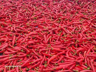 오정근님의 작성글 사진