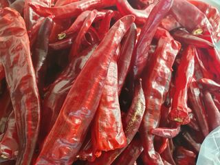 재순님의 작성글 사진