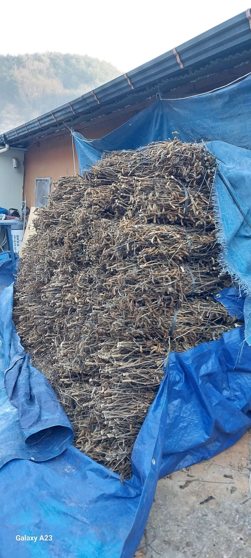 장터 상품 [서리맞은서리태1Kg ] 썸네일